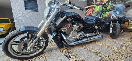 HARLEY-DAVIDSON V-ROD MUSCLE 